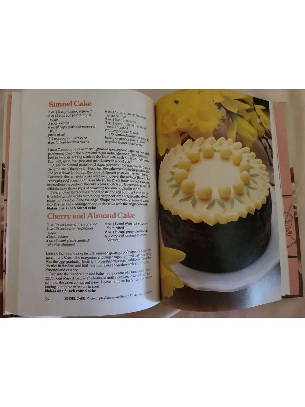 The Color Book of Cakes & Frostings Octopus 1978